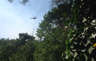 Вертолет Ми-8 ОАО НПК «ПАНХ» потушил лесной пожар вблизи Геленджика